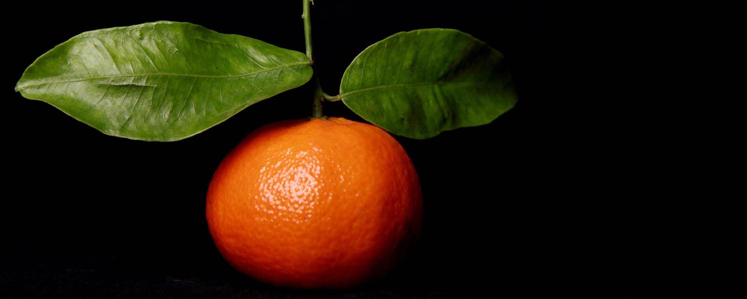 Kinnow orange